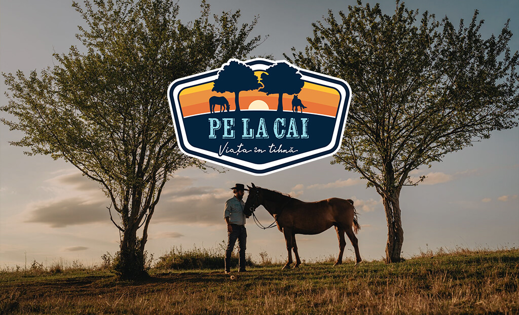 site prezentare sibiu